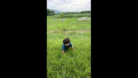 baby boy crawling in the fields