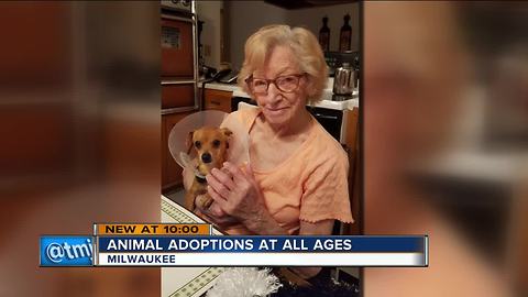 Area rescues don't agree with animal group denying adoptions due to age