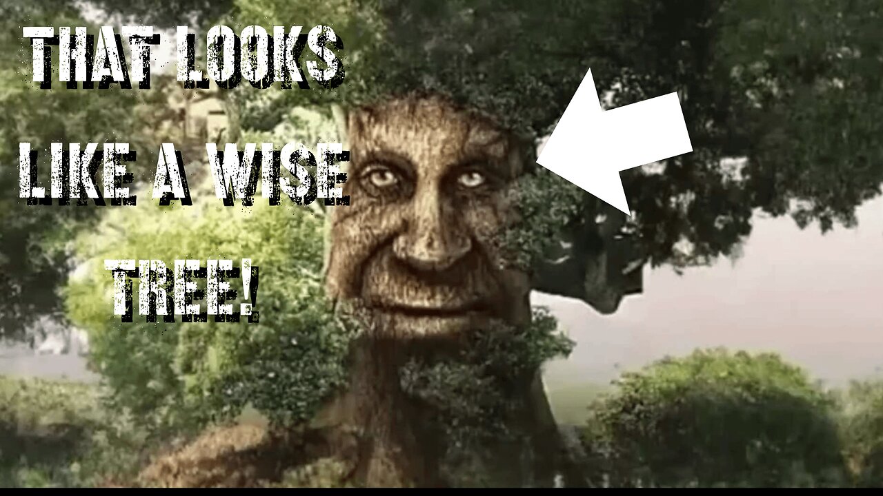 THAT LOOKS LIKE A WISE TREE - Nephilim 1:2