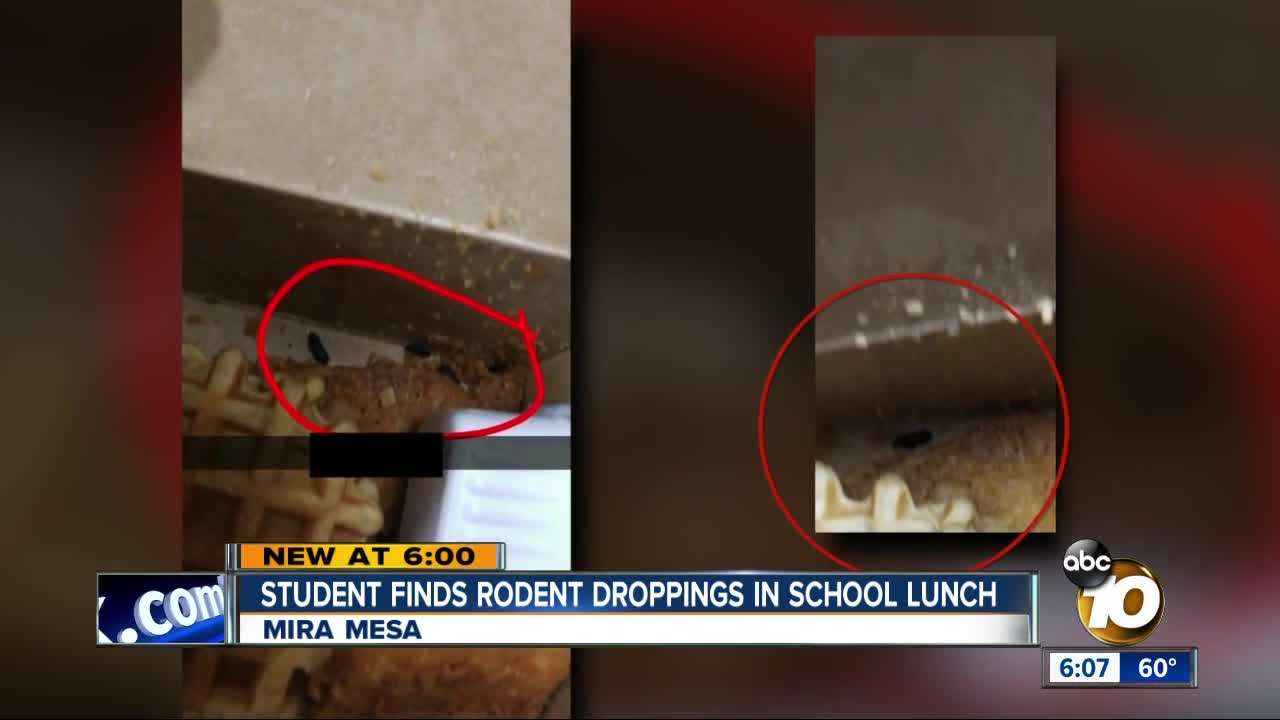 Mira Mesa student finds rodent droppings in school lunch