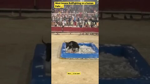 Most Insane Bullfighting vs a human Fails😳 #subs #wildlife #shorts #bull #bullfight #animals
