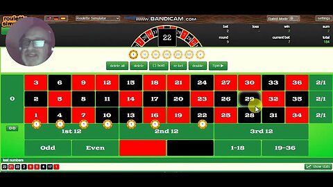 How i play roulette