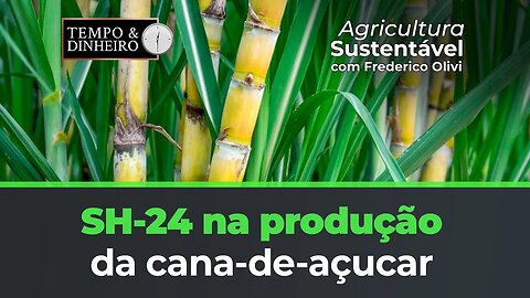 SH-24 na produção da Cana-de-Açucar