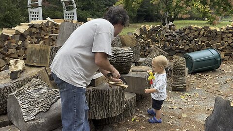 Cut Cut with Dad Dad