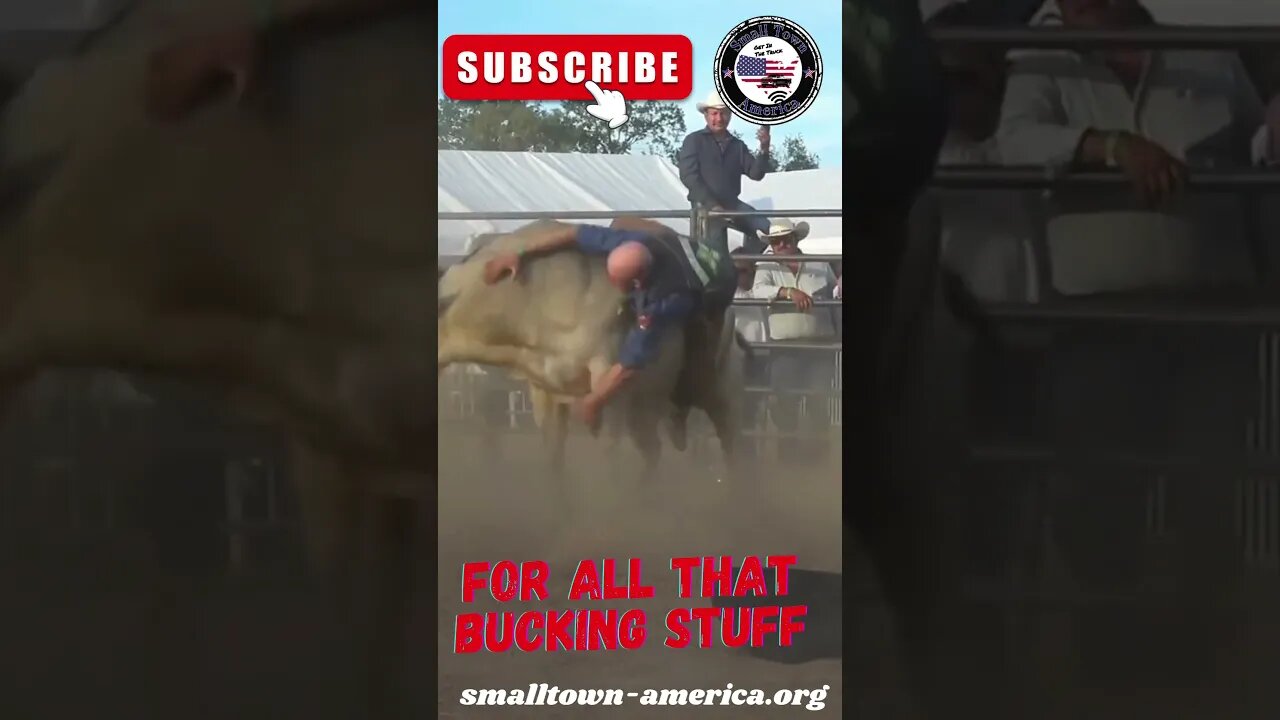 Wild Bull Rides No Hands #bullriding #tiktokshort