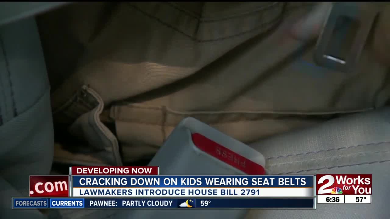 Lawmakers introduce seatbelt bill