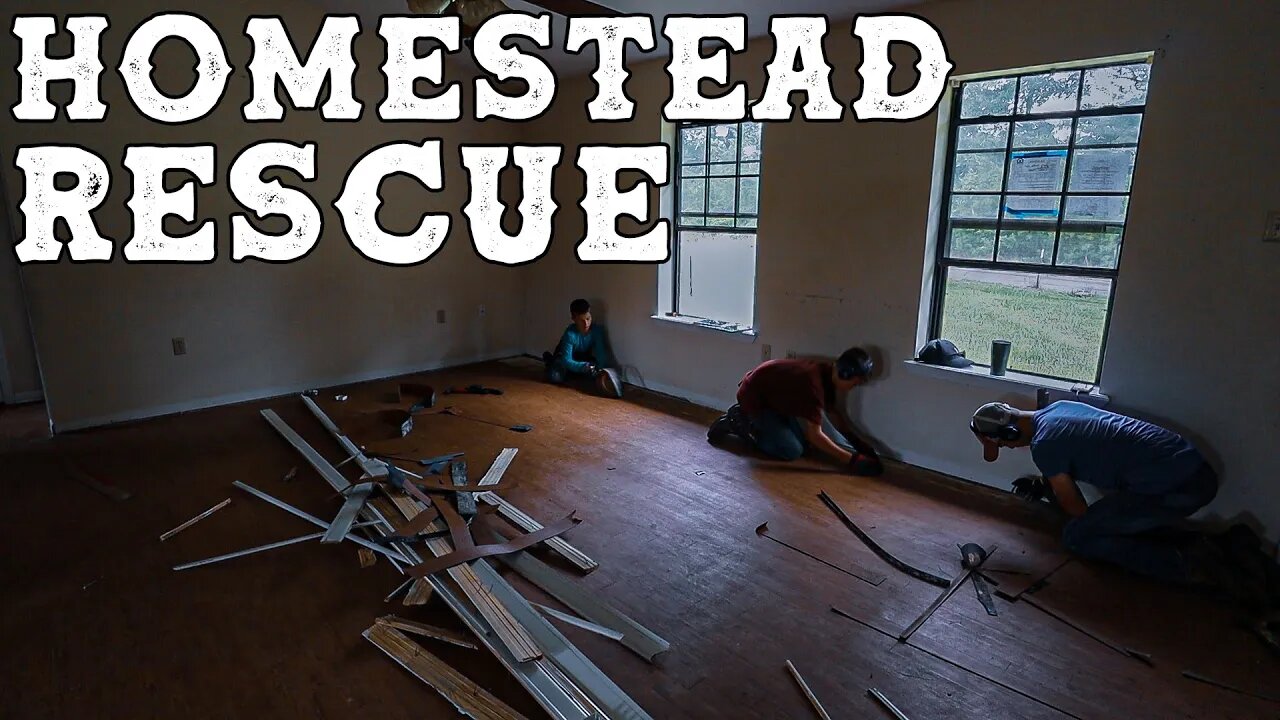 Rescuing a Homestead Before It's Too Late!