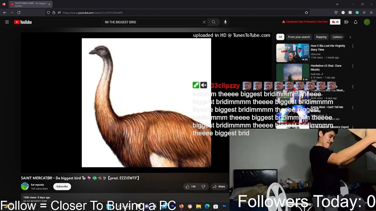DA BIGGEST BIRD 🦆🦅🦩🦚