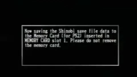 ShinobiPS2 3829 LQ