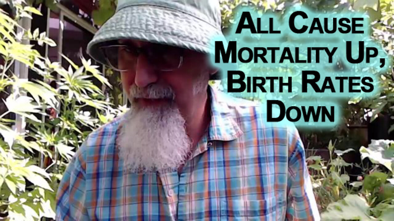 One of the Most Important Stories Is that All Cause Mortality Is Up & Birth Rates Are Down [ASMR]