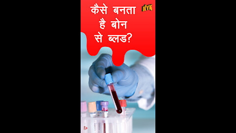 कैसे बनता है बोन से ब्लड *