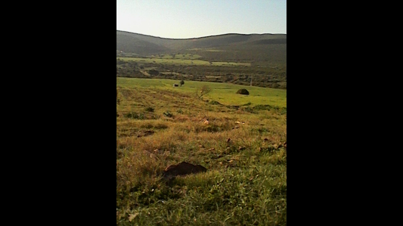 beautiful of the nature