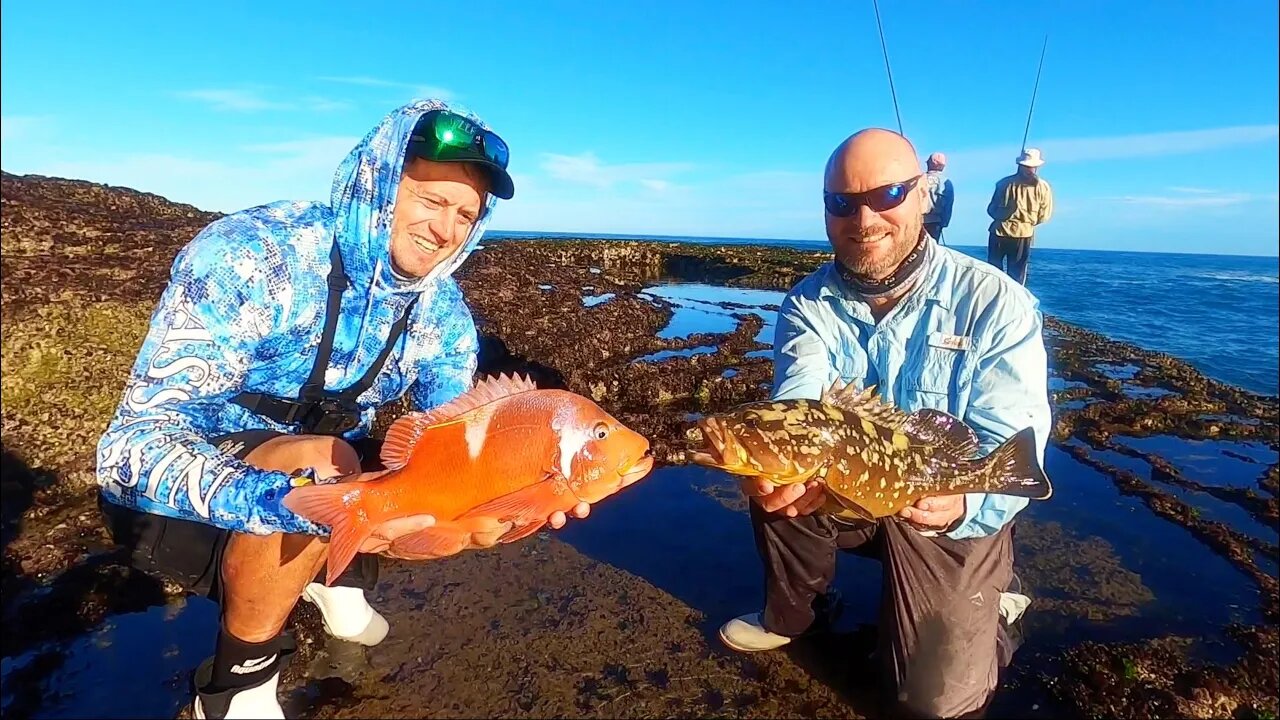 FISHING PARADISE FOR A HUGE VARIETY OF FISH SPECIES! DE HOOP MARINE PROTECTED AREA HIGHLIGHTS! Ep.3