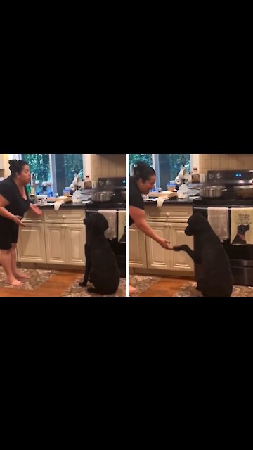 Mom didn't want a dog, but look at her now!