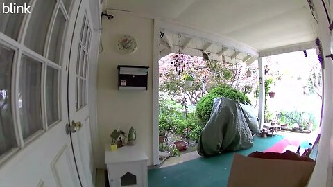 NORTH_VIDEO_DOOR_BELL_2023-05-04T10_50_23-0400.mp4