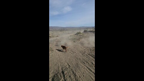 maxx slash on makeshift circle track