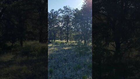 July 4, 2023, visiting the west end of my property in the Candy Kitchen/Ramah Navajo area.