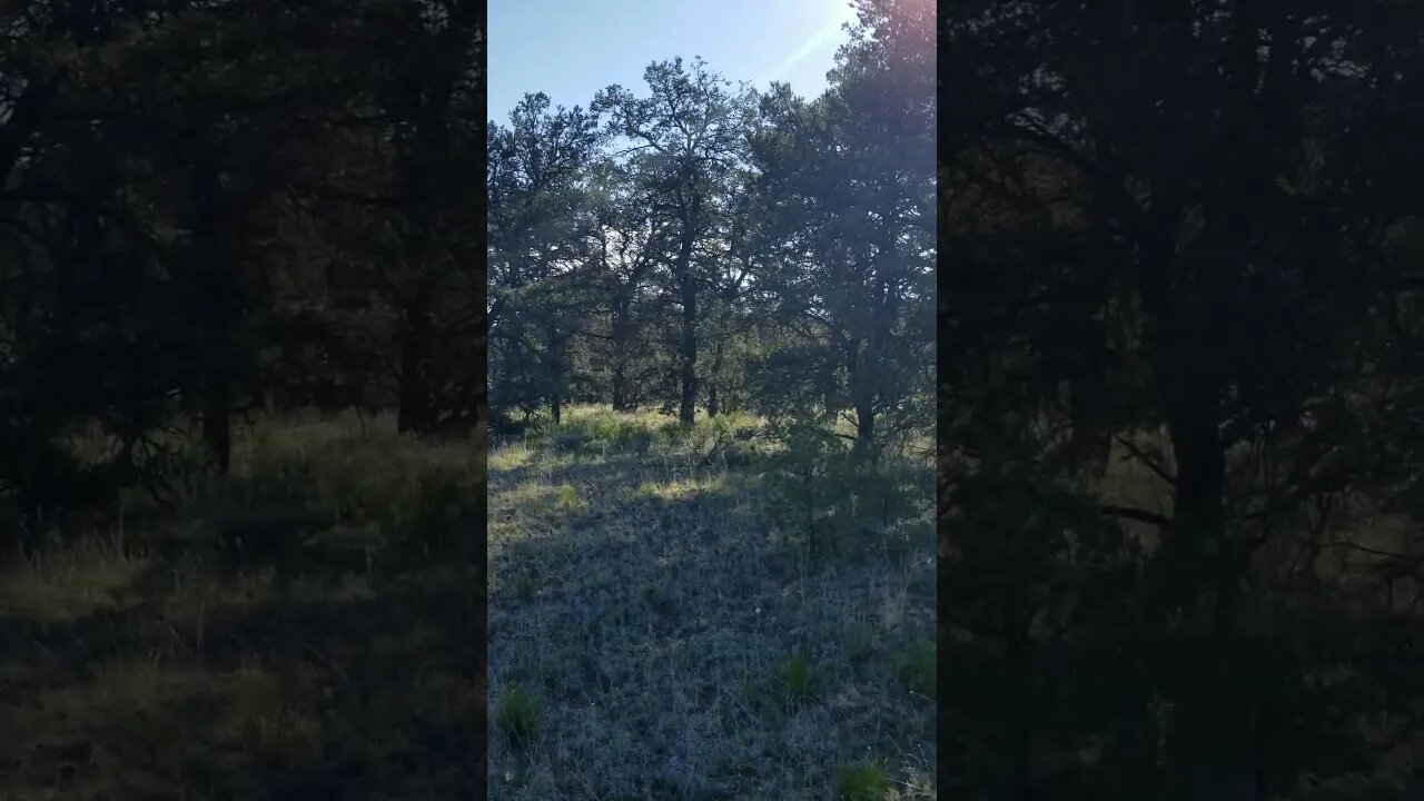 July 4, 2023, visiting the west end of my property in the Candy Kitchen/Ramah Navajo area.