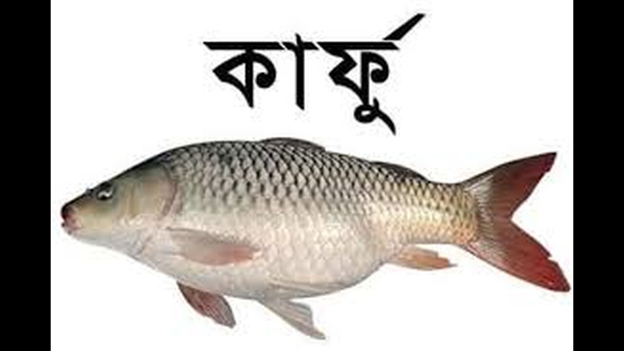 Fish cutting