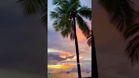 #vacation #travel #fly #hotel #travelman #beauty #flowers #subscribe