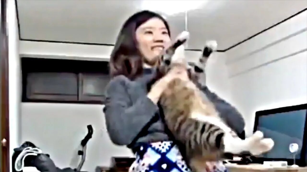 [10 HOURS] of Asian Lady Dancing with Cat