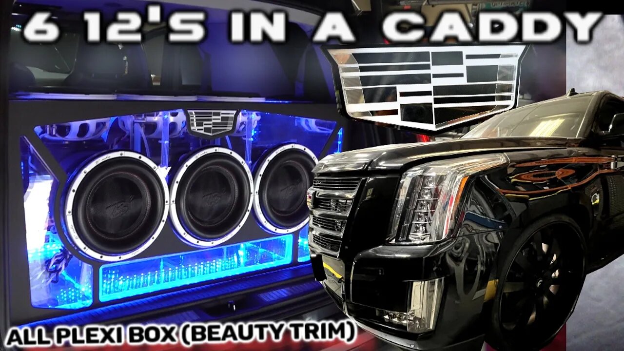 6 12's in a Caddy - 100% Acrylic slot ported box, LEDs, Neo magnet Beauty Trim with 27 Piece emblem