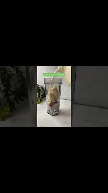 Animal based milkshake #animalbased #animalbaseddiet #kidsmeals #carnivore #ketodiet #carnivorediet