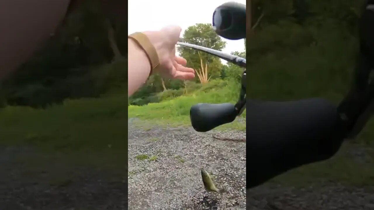 This dude couldn’t believe I could catch a fish 🎣 😂