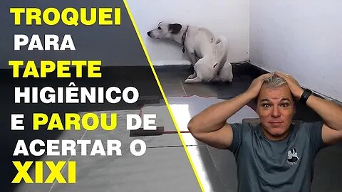 Reeducando o seu cachorro a fazer Xixi e Cocô no lugar correto