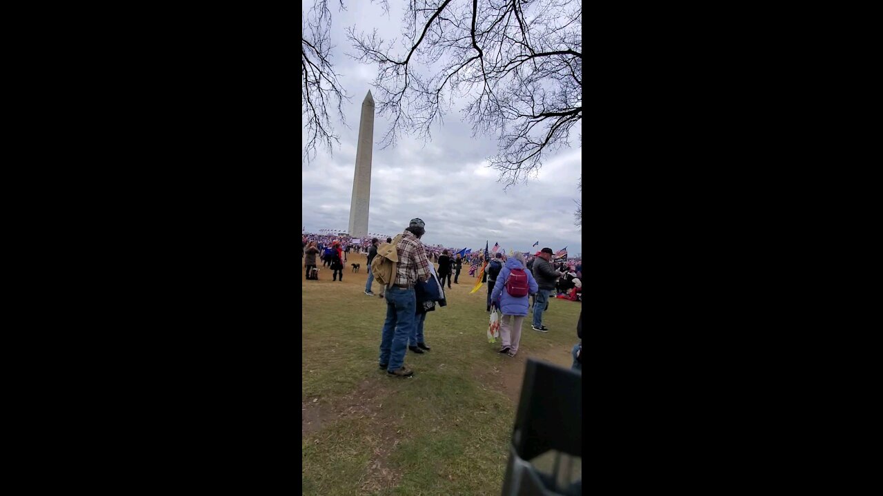 What most people where doing in DC January 6