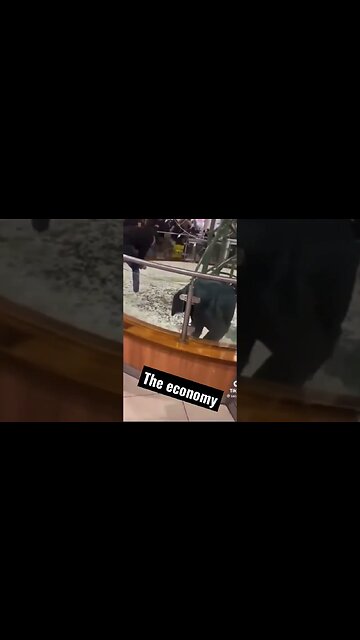 The booming economy politicians keep talking about 😂