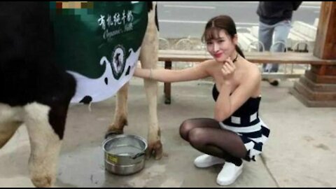 funny video # Don't try to make the cow angry#funny#lucu#girls#sexy#tante girang# N'essayez pas de mettre la vache en colère# cute animal# لا تحاول إثارة غضب البقرة# ਗ cow ਨੂੰ ਗੁੱਸੇ ਕਰਨ ਦੀ