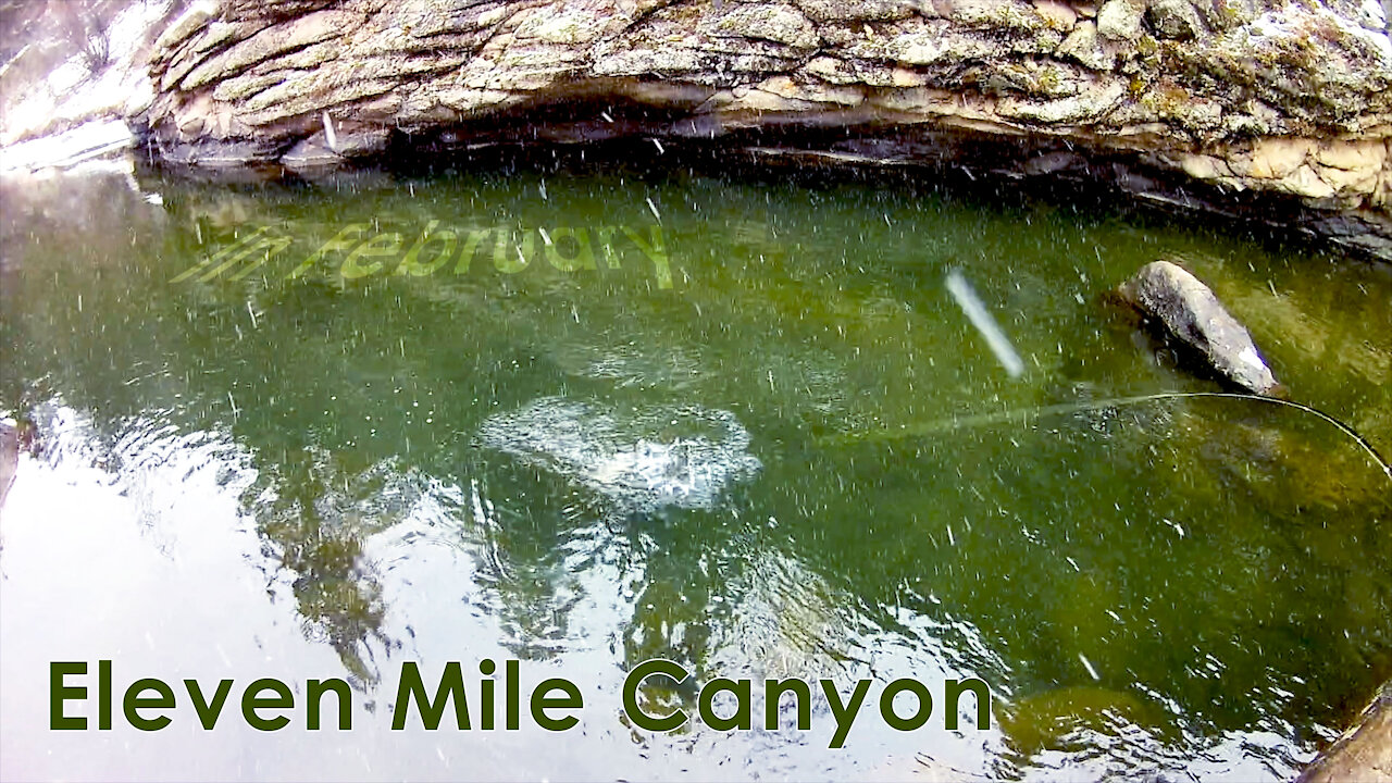 Eleven Mile Canyon - Fishing in the SNOW! - McFly Angler Episode 43