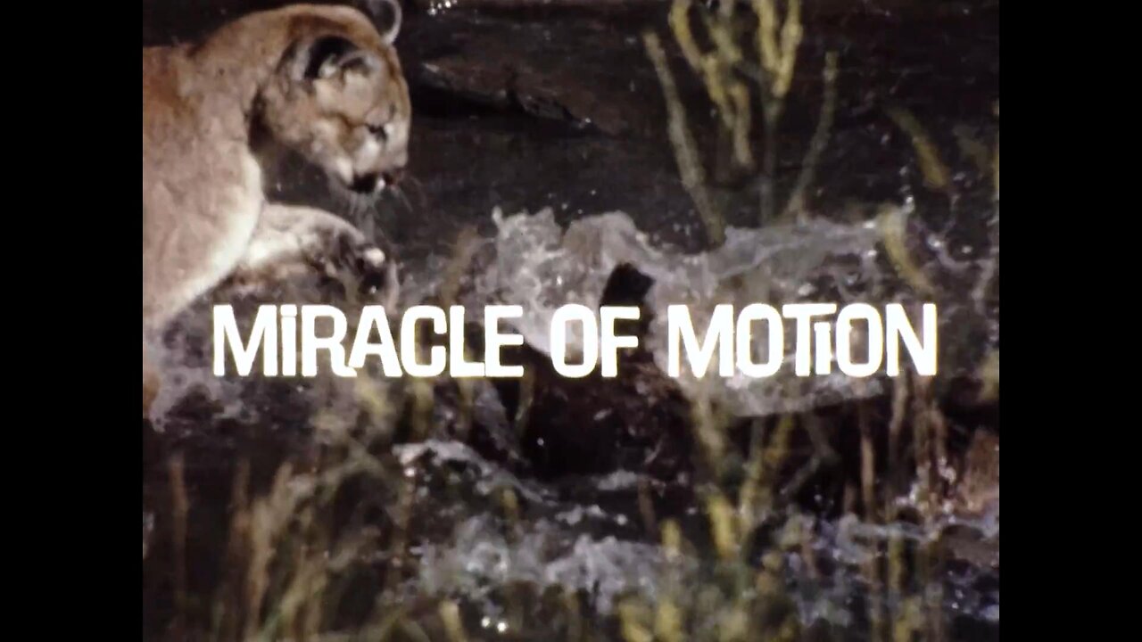 Mutual of Omaha's Wild Kingdom - "Miracle of Motion"