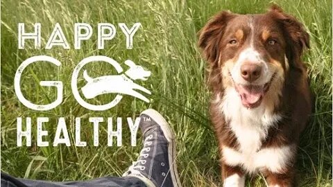 A Healthy Pet is A Happy Pet!!! Happy Go Healthy Pets with Claire Ballard