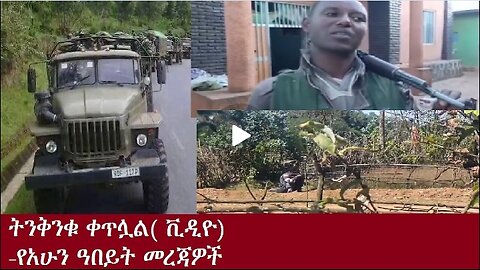 ትንቅንቁ ቀጥሏል Dec 10,2024 #dere news #dera zena #zena tube #derejehabtewold #ethiopianews