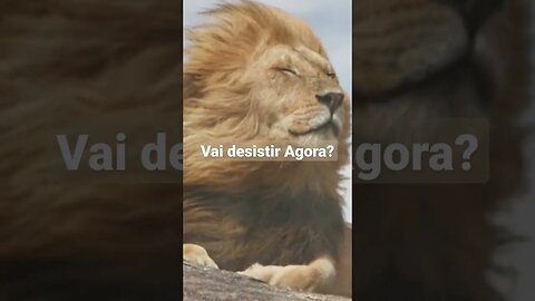 vai desistir Agora?#desistirjamais#motivação#motivação2023