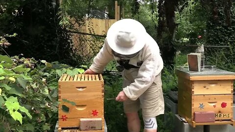 NEW BEEKEEPER UNEVENTFUL INSPECTIONS ARE A GOOD THING !!