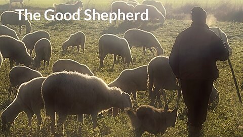 The Good Shepherd