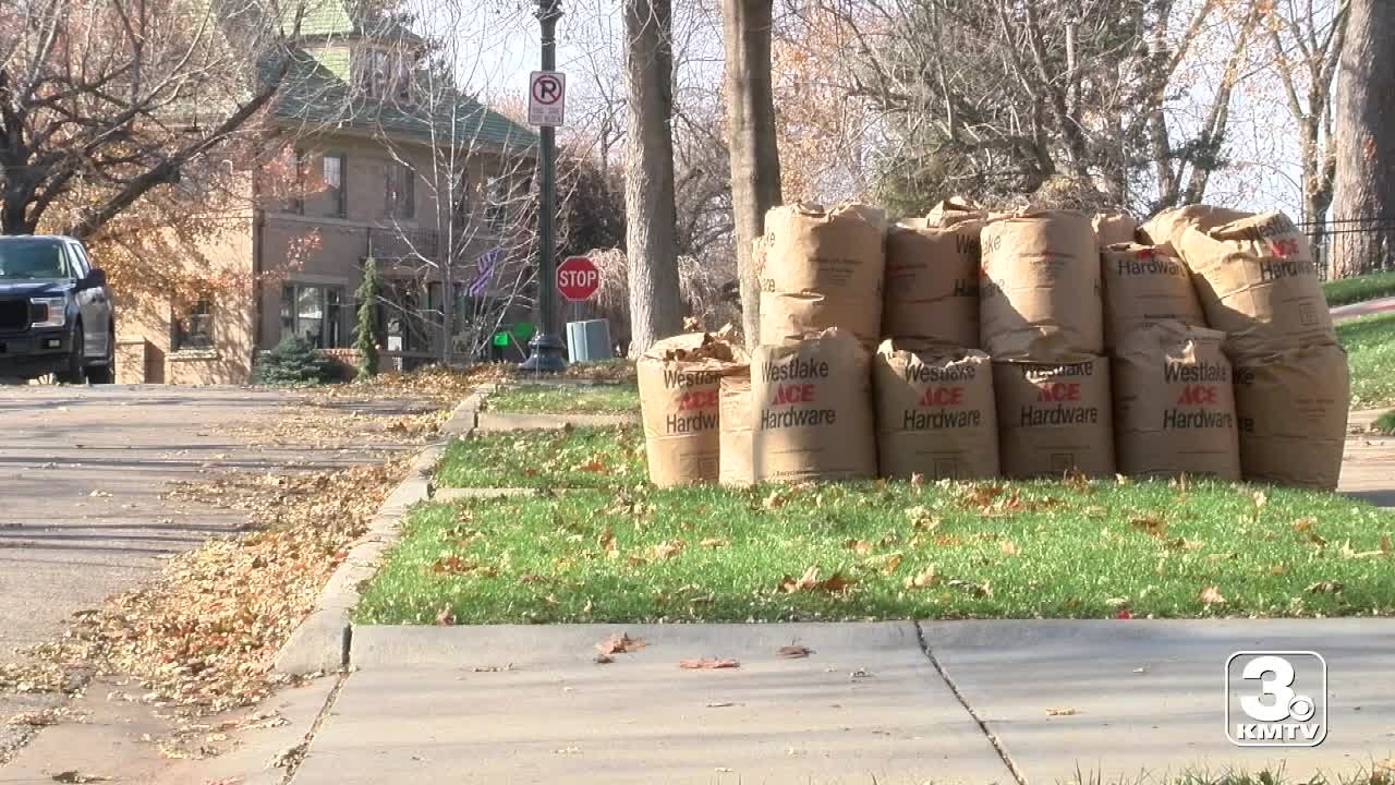 Limits on yard waste pickups and city's next garbage contract