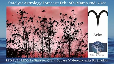 ARIES - Catalyst Astrology Forecast - LEO FULL MOON + STARSEED GRAND SQUARE - Feb 16-March 2nd, 2022