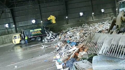 Fun at the Dump