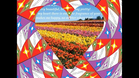 My love for you is like a field of roses; It is imense, beautiful and pretty! [Quotes and Poems]
