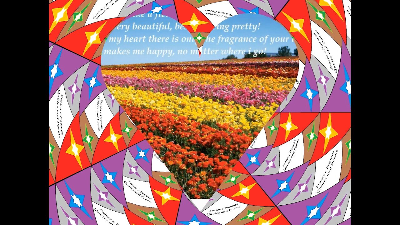 My love for you is like a field of roses; It is imense, beautiful and pretty! [Quotes and Poems]