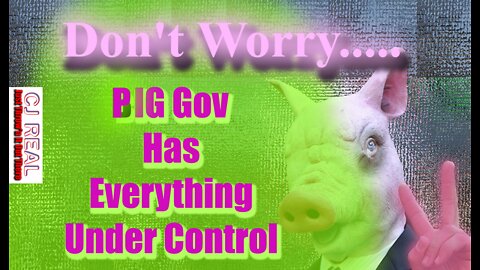 PIG GOV IS INVOLVED IN EVERY ASPECT OF OUR LIVES