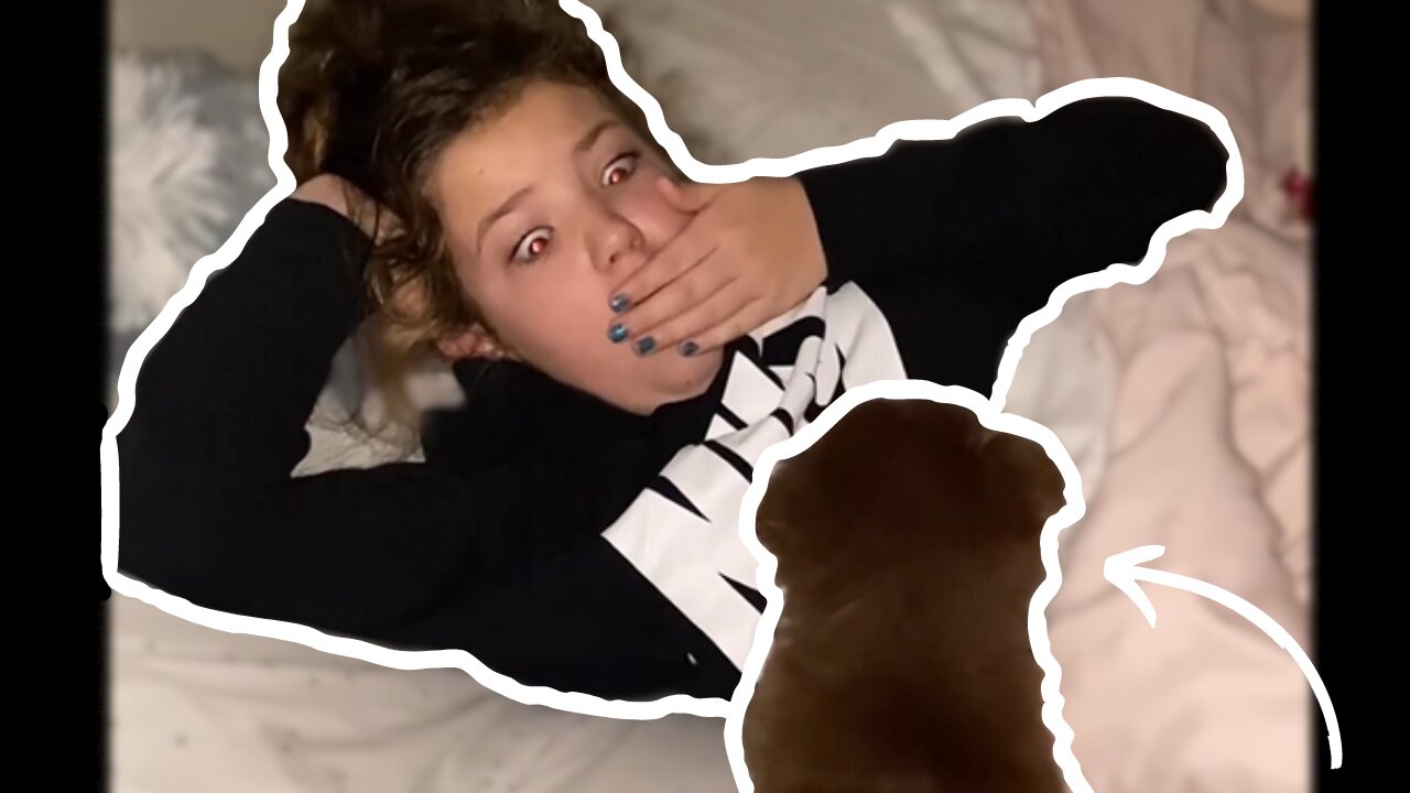 Young Girl Wakes Up To a Surprise Puppy! - Wholesome Video