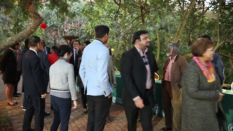 SOUTH AFRICA - Durban - Chinese Moon Festival (Y37)