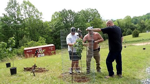 Planting fruit trees today at the homestead. Live stream tonight at 8pm EST.