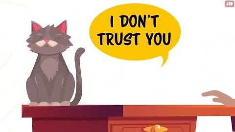 14 Signs Your Cat Hates You