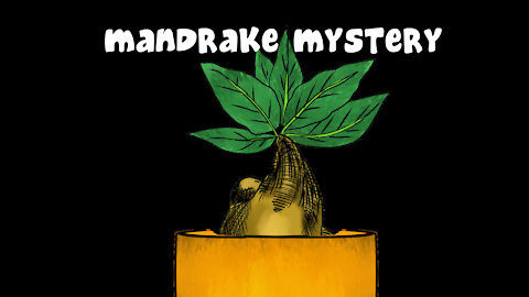 Mandrake Mystery